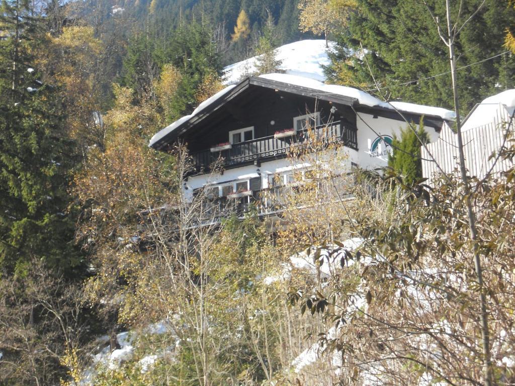 Villa Taube Bad Gastein Exterior photo